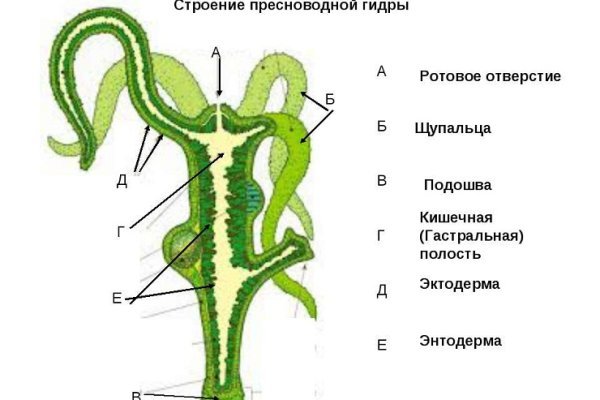 Действующая ссылка на кракен