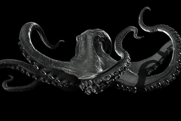 Современный маркетплейс kraken door