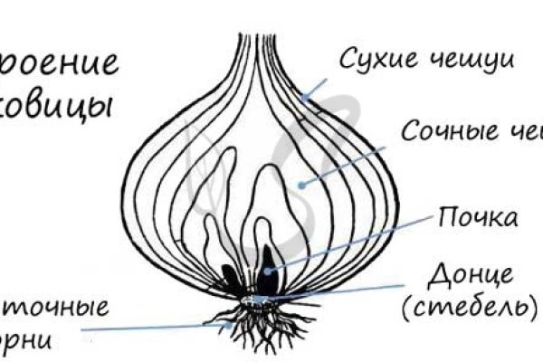 Кракен ссылка тор kraken014 com